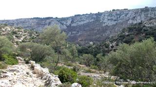 stello marchesa di Cassibile-10-02-2015 19-58-57